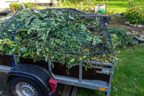 Best Moving and Downsizing Cleanouts  in Durant, OK